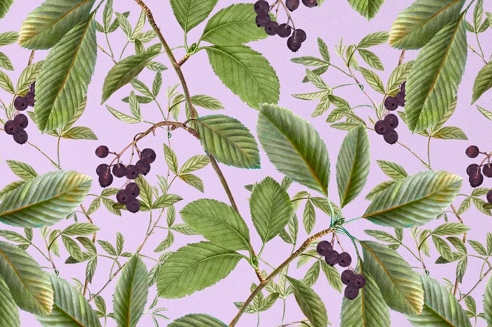 Vintage leaf pattern background illustration by Pierre Joseph Redouté. Remixed by rawpixel.