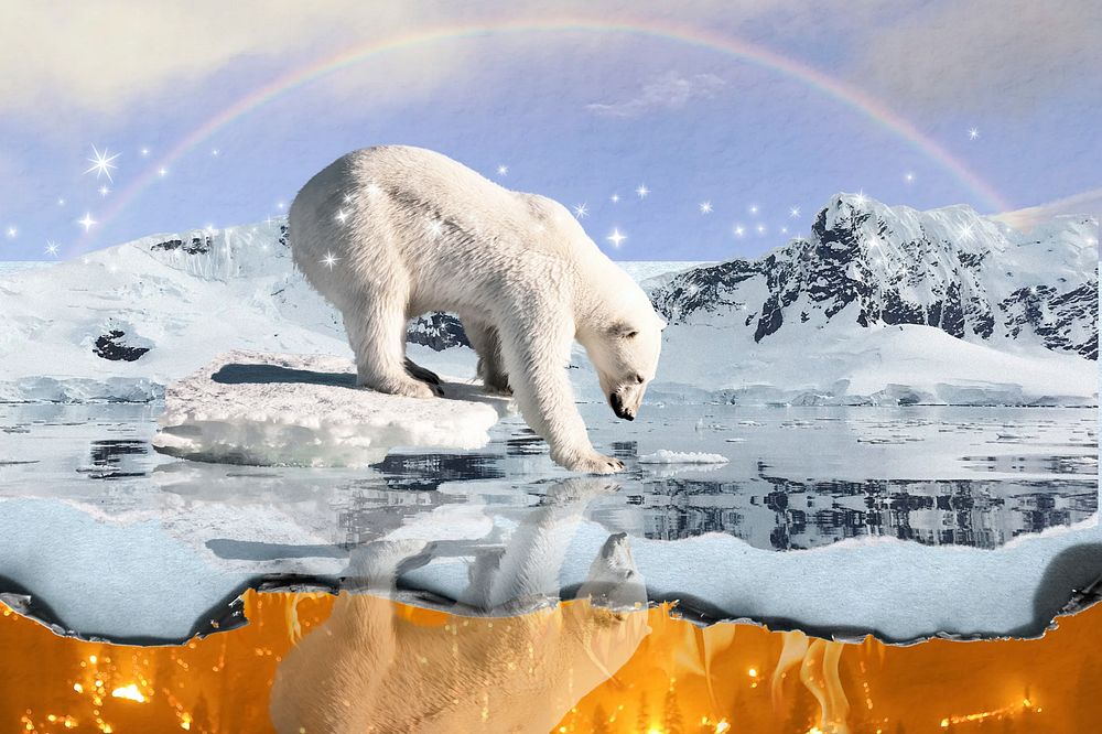 Polar bear environment background, north pole aesthetic