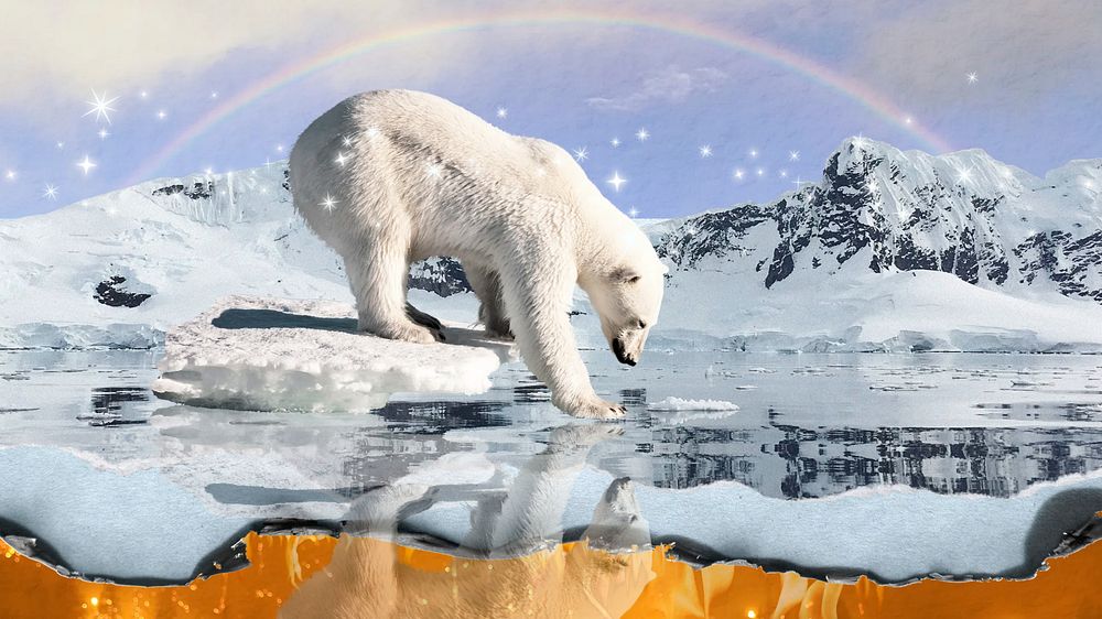 Polar bear environment computer wallpaper, north pole aesthetic