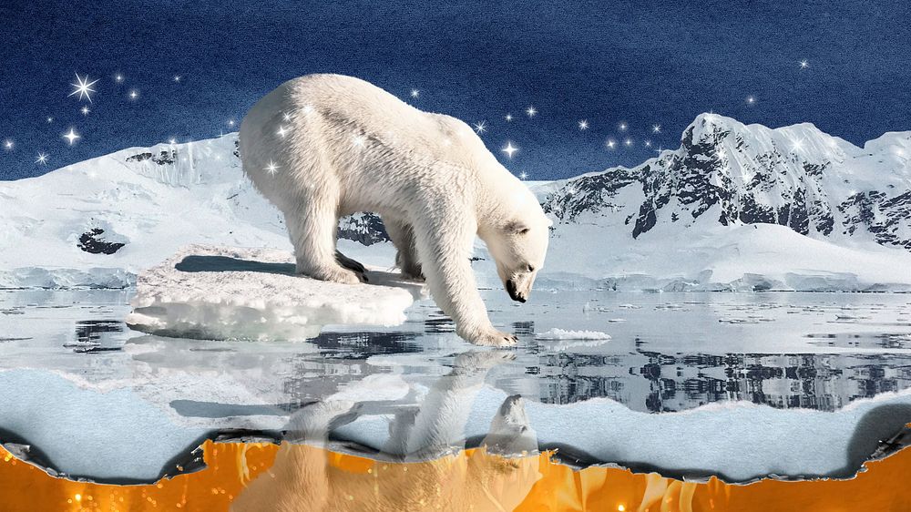 Polar bear environment computer wallpaper, north pole aesthetic