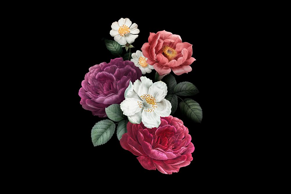 Aesthetic vintage flower collage element, botanical illustration