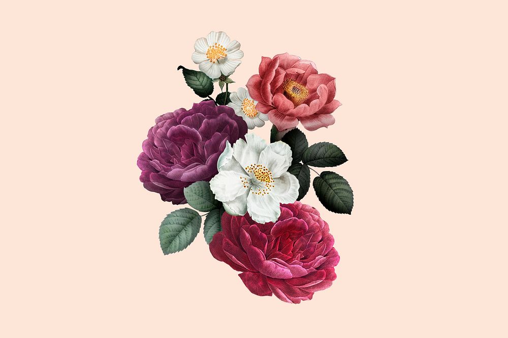 Vintage flower collage element, aesthetic botanical illustration