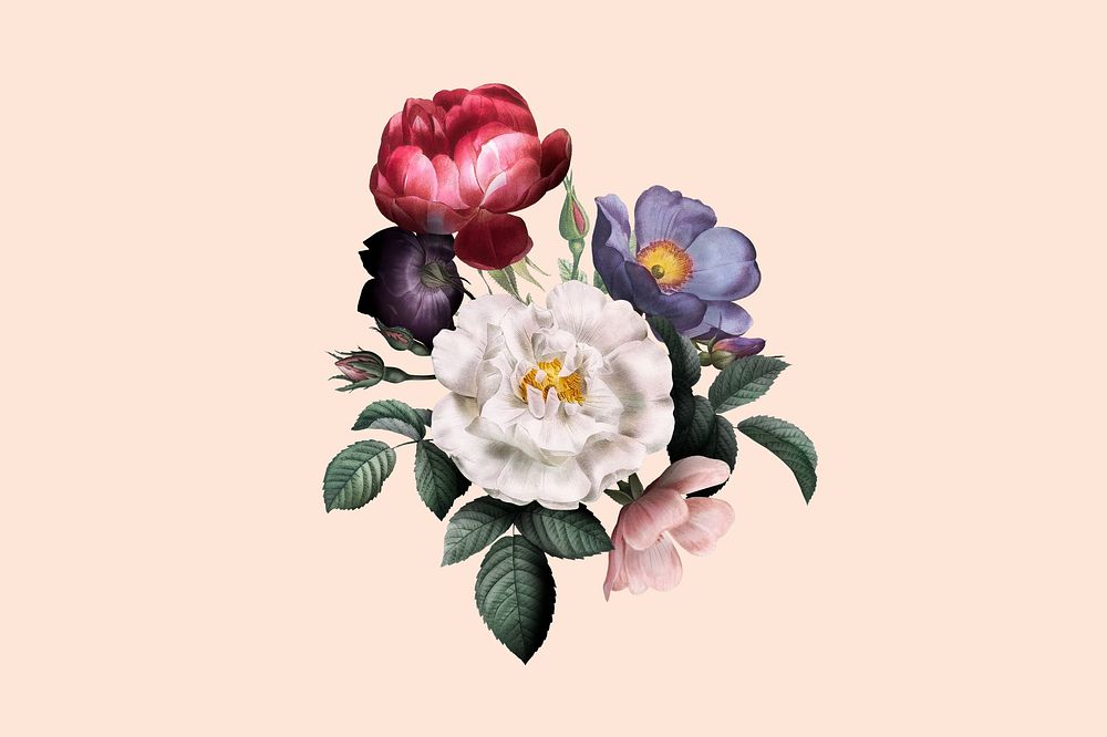 Aesthetic vintage flower collage element, botanical illustration
