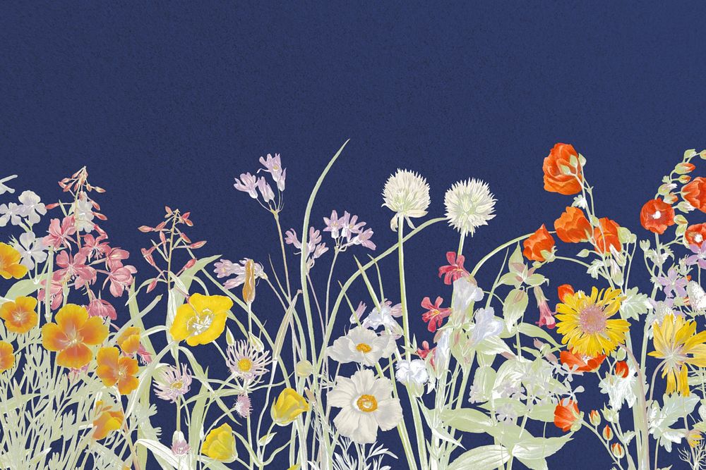 Aesthetic floral background illustration