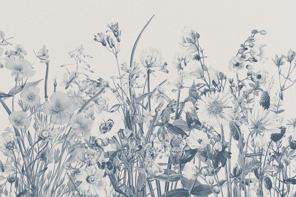 Aesthetic floral background, vintage monotone botanical illustration
