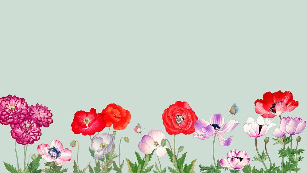 Anemone flowers desktop wallpaper, vintage floral background. Remixed by rawpixel.