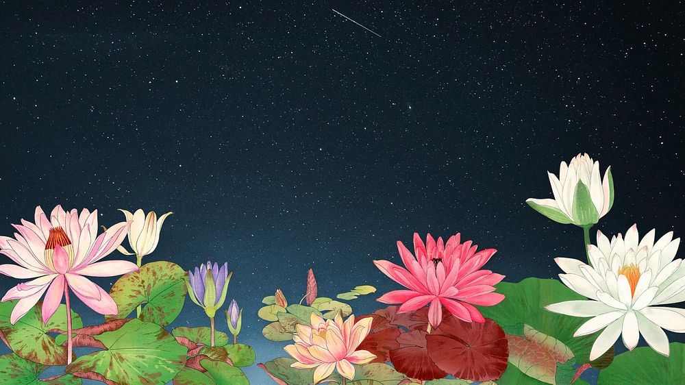 Starry sky lotus desktop wallpaper. Remixed by rawpixel.
