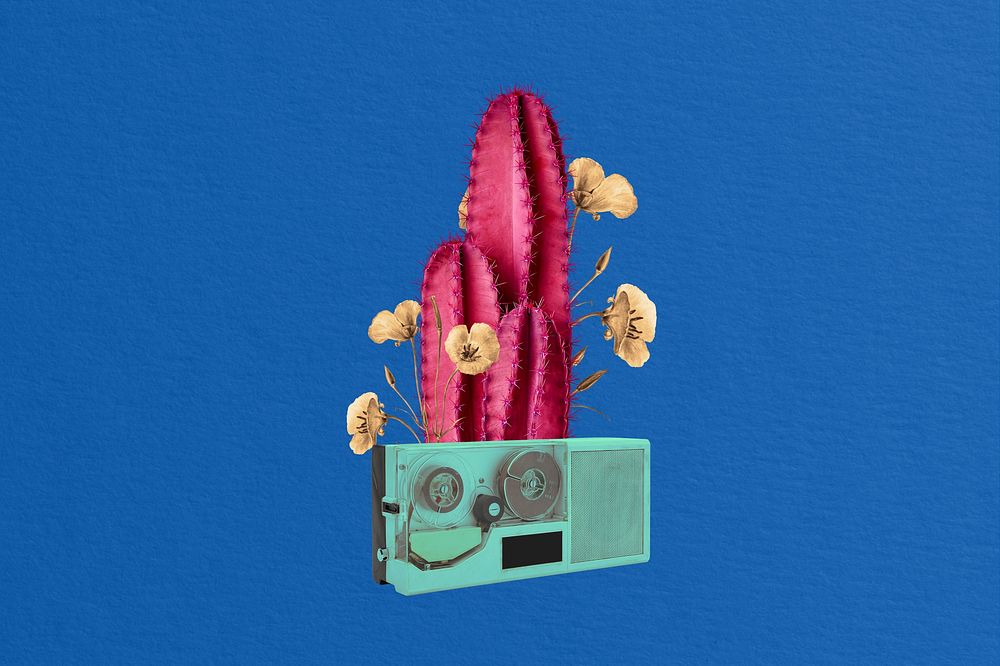 Editable retro cactus and VHS remix collage art 