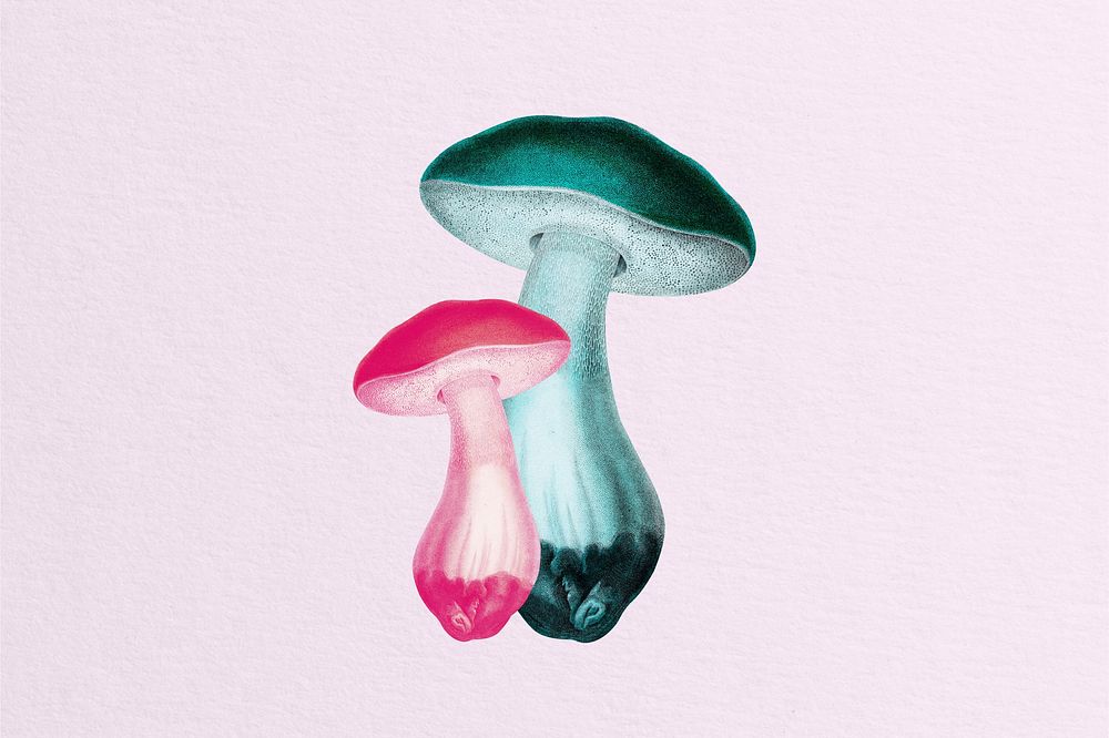 Neon mushrooms 