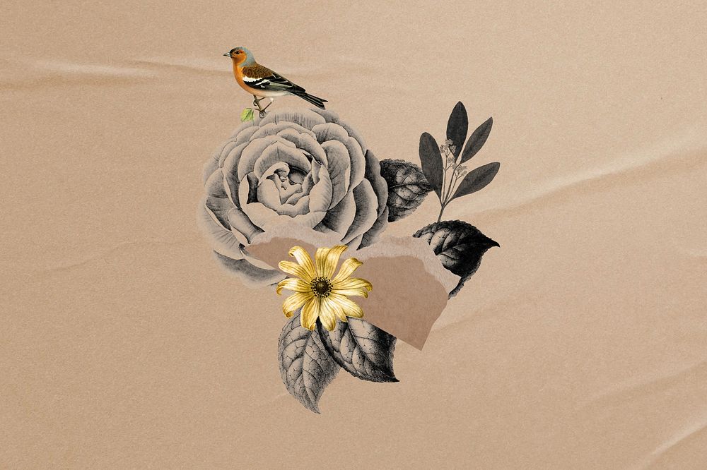 Bird and flower ephemera collage element 