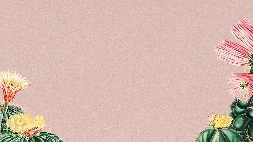 Cactus illustrations, pink desktop wallpaper