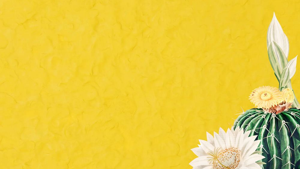 Yellow watercolor cactus desktop wallpaper