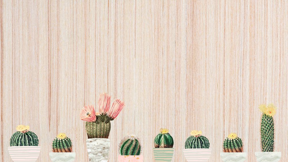 Cute cactus border desktop wallpaper