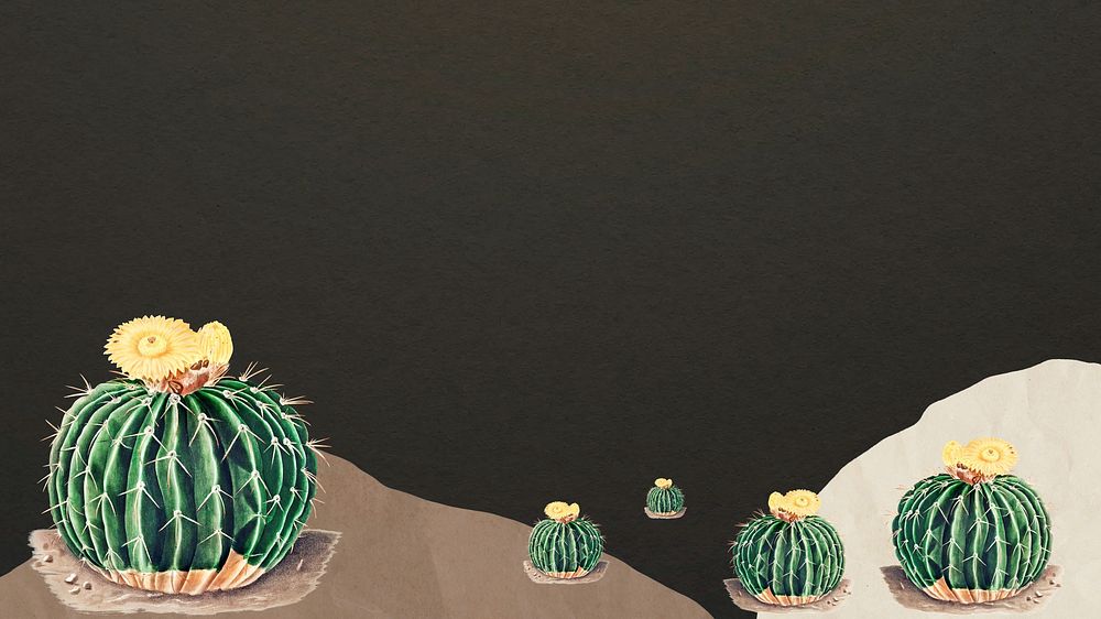 Cactus border, dark desktop wallpaper