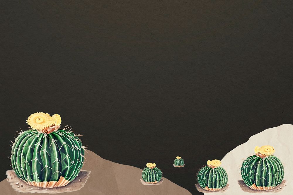 Cactus border, dark background design