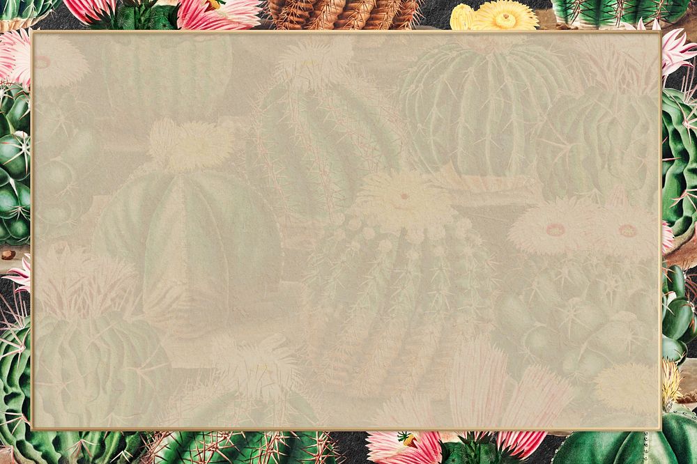 Cactus pattern frame, design with copy space