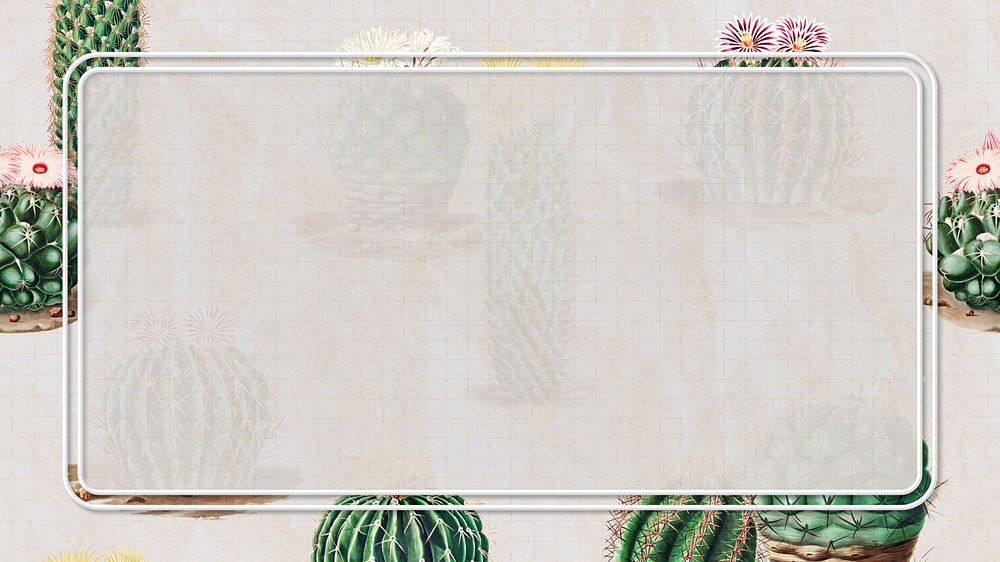 Gray cactus frame desktop wallpaper
