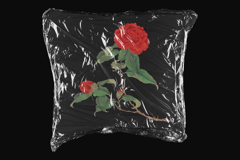 Rose plastic wrap isolated on black design. Remixed by rawpixel.
