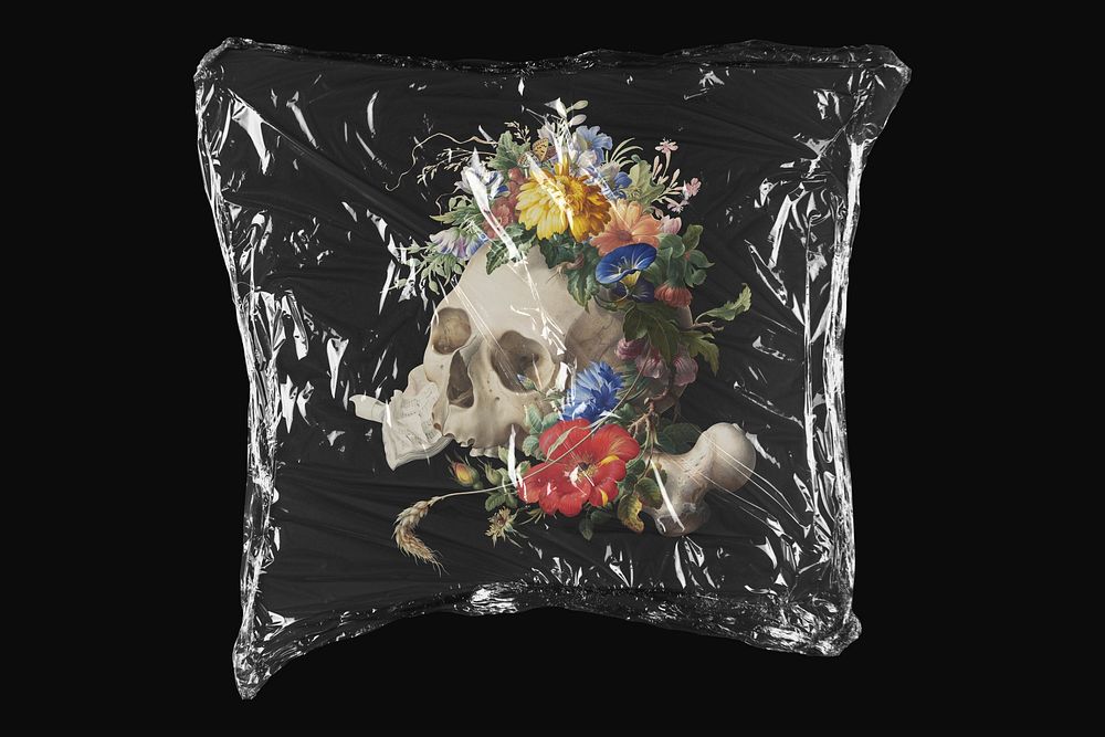 Vanitas floral skull, Jan van Kessel's artwork in plastic wrap isolated on black design. Remixed by rawpixel.