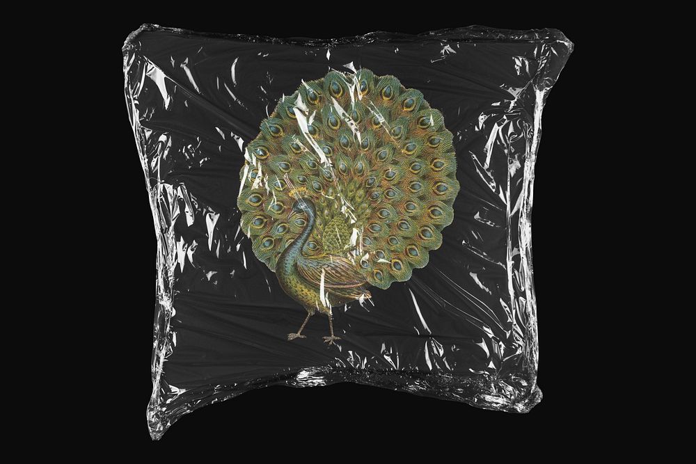 Aesthetic peacock, plastic wrap isolated on black design. Remixed by rawpixel.