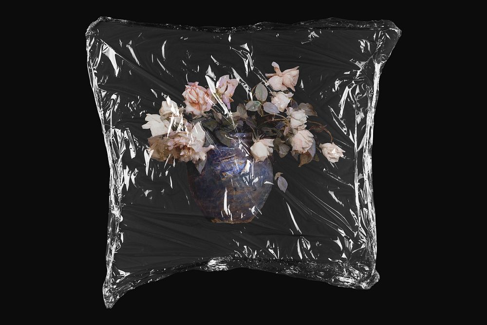 Abbott Handerson Thayer 's Rose in plastic wrap isolated on black design. Remixed by rawpixel.