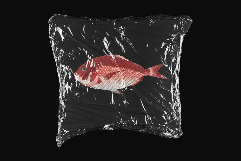 Sea bream fish, plastic wrap isolated on black design. Remixed by rawpixel.