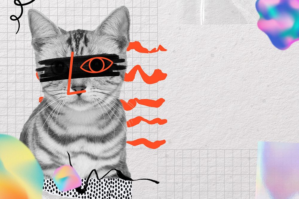 American shorthair cat, doodle collage with design space. Remixed by rawpixel.
