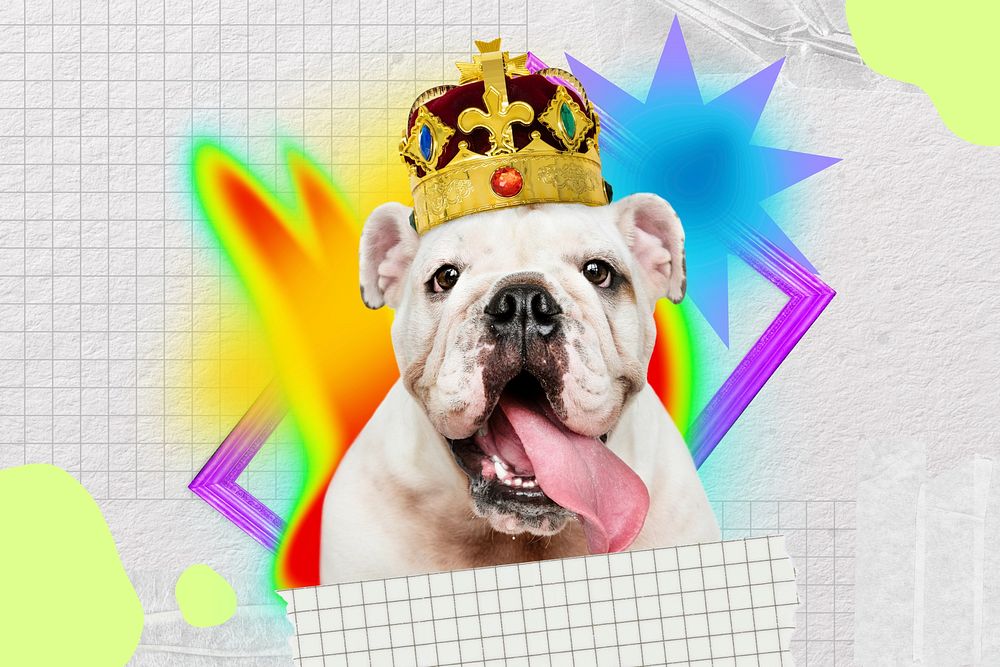 Cute bulldog collage art, colorful gradient shape tape design