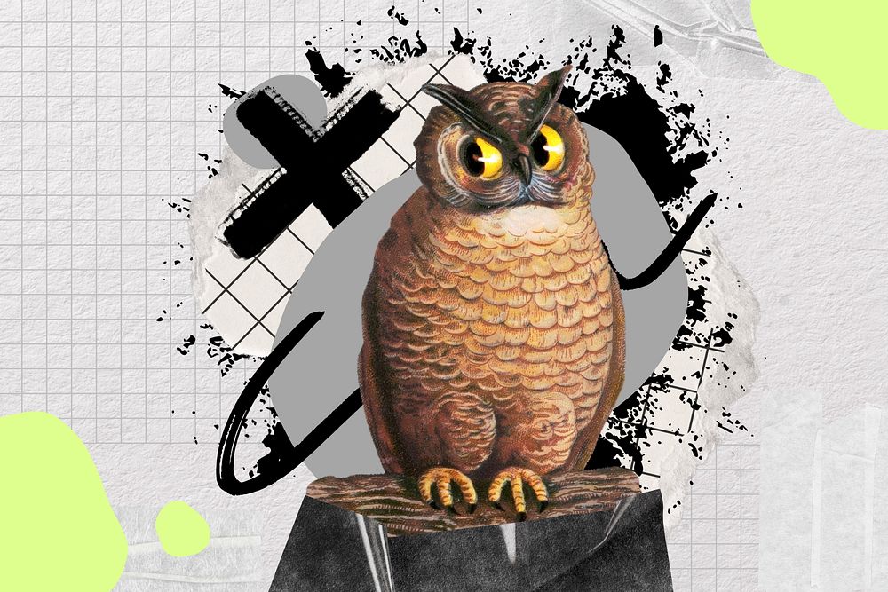 Owl, urban street design