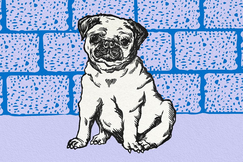 Vintage pug illustration