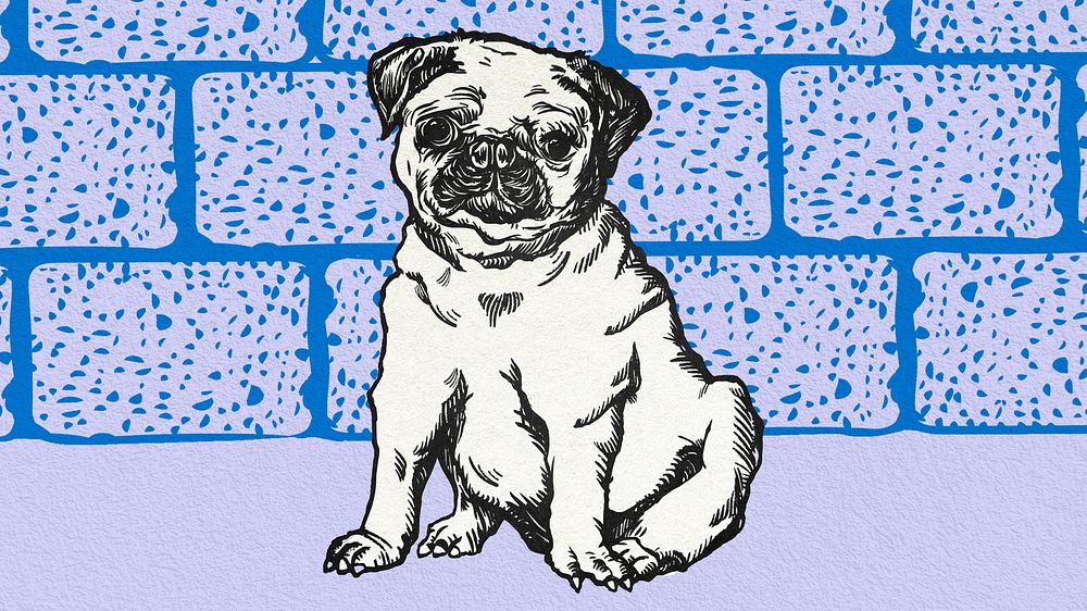 Vintage pug, purple desktop wallpaper