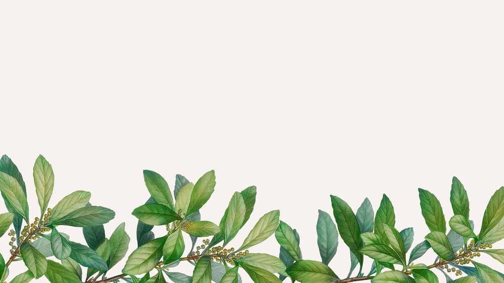Tropical beige desktop wallpaper, leaf border