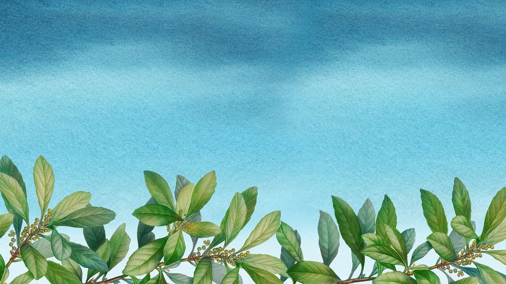 Leaf border blue desktop wallpaper