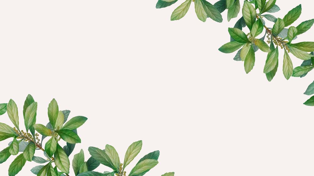 Tropical beige desktop wallpaper, leaf border