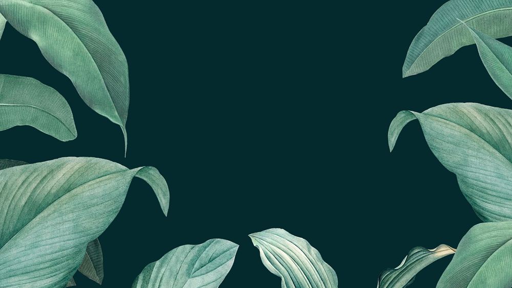 Tropical green desktop wallpaper, leaf border design