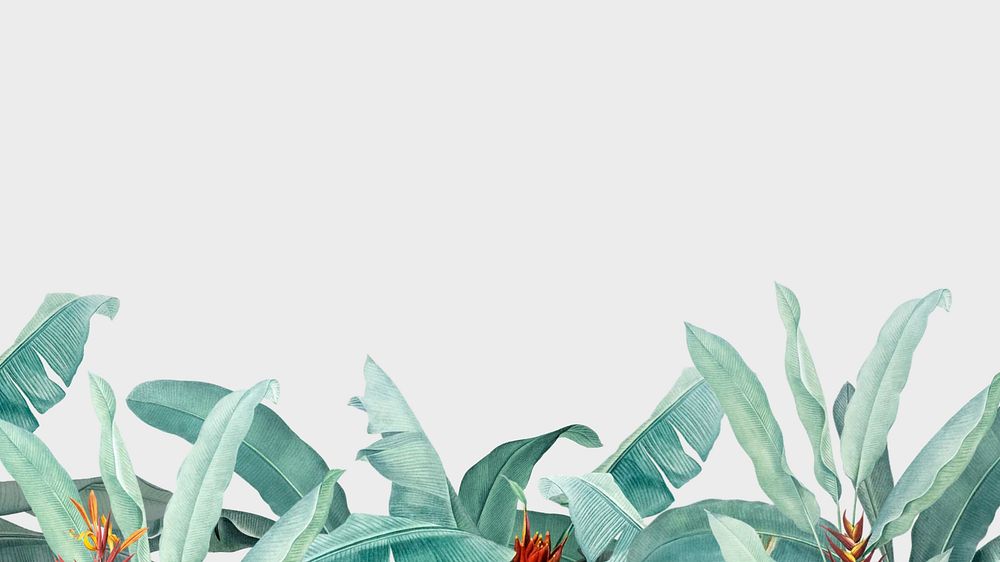 Tropical green desktop wallpaper, plant border design