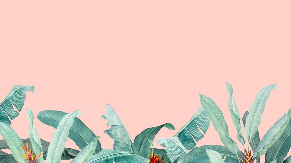 Tropical border pink desktop wallpaper, parrot heliconia flower design