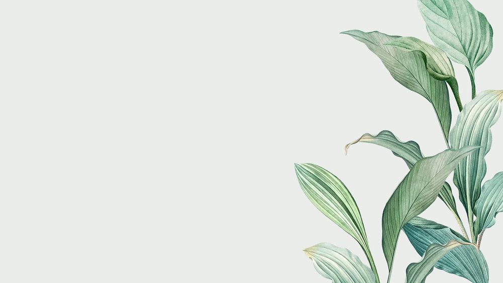 Tropical green desktop wallpaper, leaf | Premium Photo - rawpixel