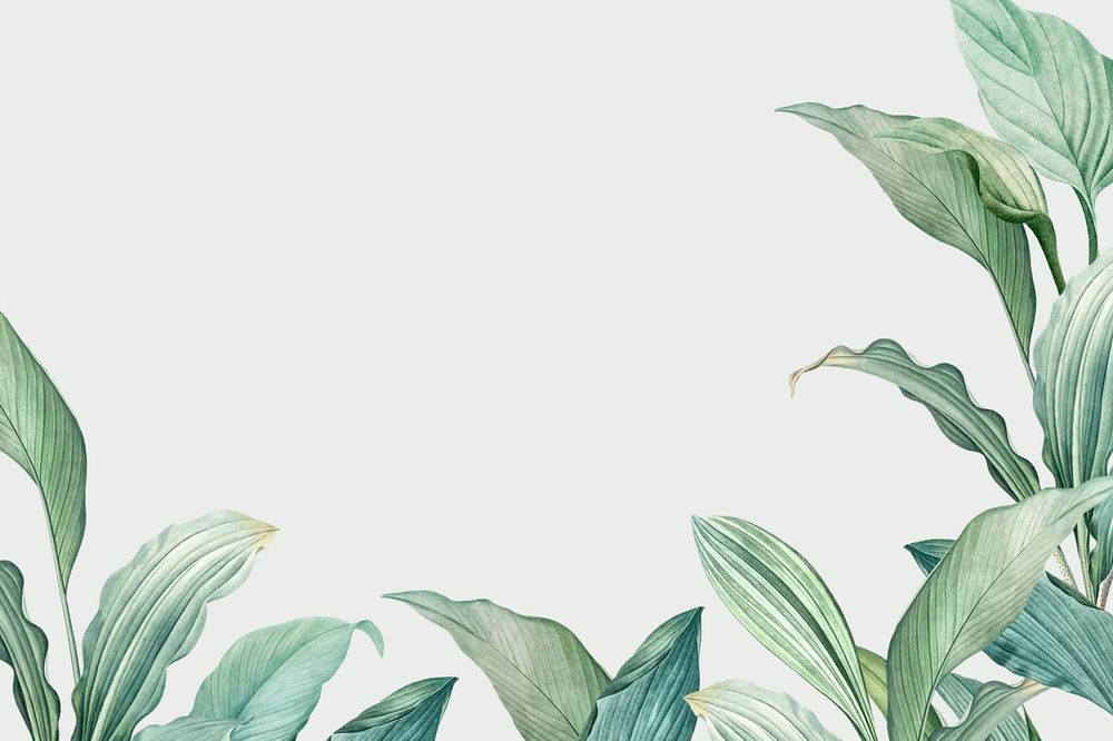 Tropical green background, leaf border design