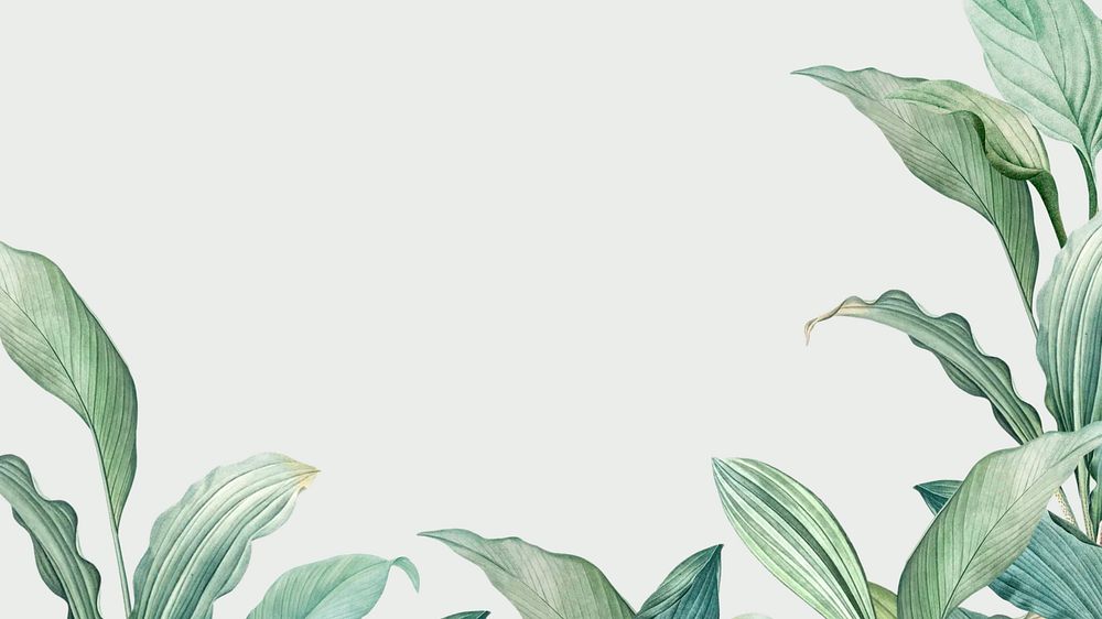 Tropical green desktop wallpaper, leaf border design