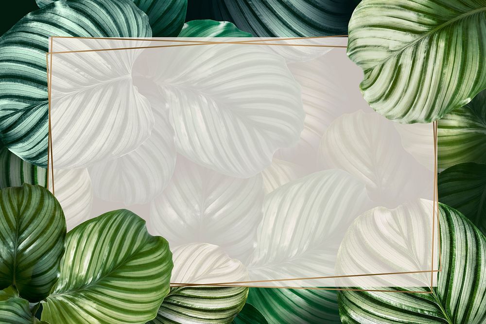 Tropical leaf frame background, botanical design