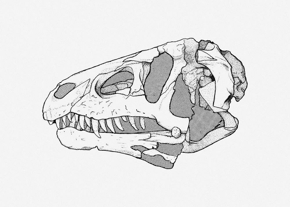 Dinosaur fossil clip art. Free public domain CC0 image.
