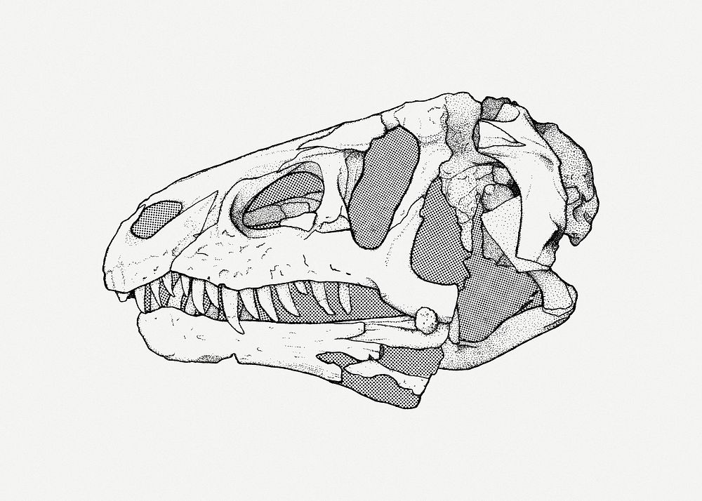 Dinosaur fossil clip art psd. Free public domain CC0 image.