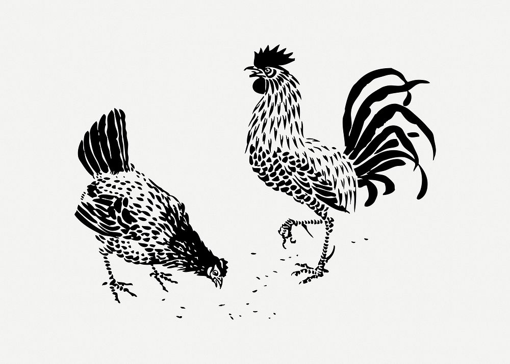 Rooster and hen illustration psd. Free public domain CC0 image.