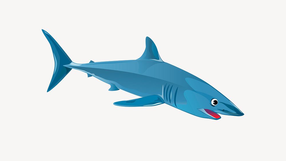 Shark illustration. Free public domain CC0 image.