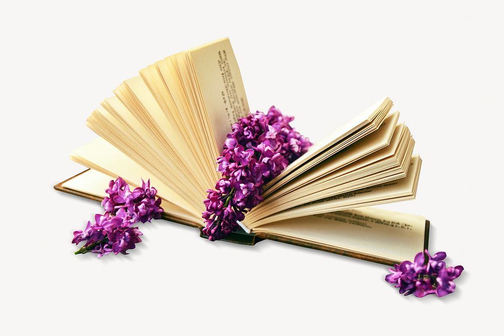 Book flower decoration isolated image on white