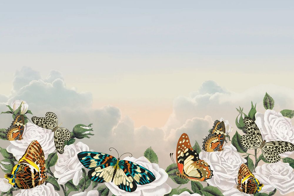 Aesthetic sky background, vintage butterfly border