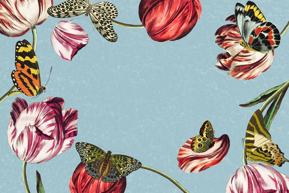 Exotic flowers frame background, vintage butterfly illustration