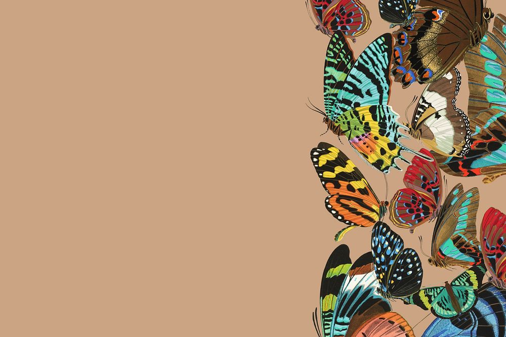 E.A. S&eacute;guy's butterflies background, vintage insect illustration, remixed by rawpixel.