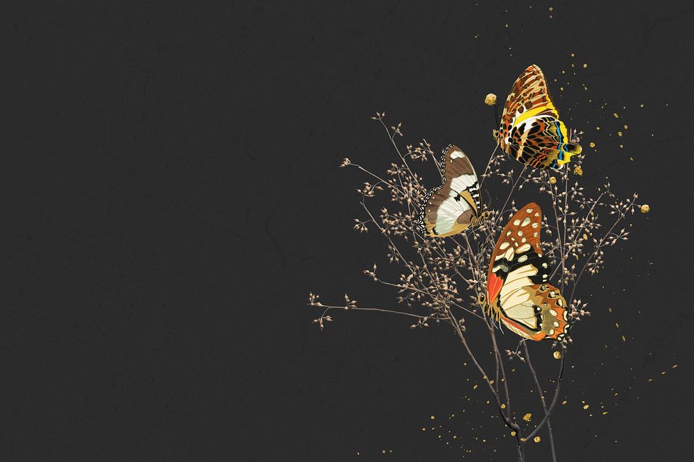 Autumn butterfly background, black texture border, remixed by rawpixel.
